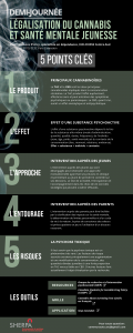 infographie-demi-journee_cannabis-smj